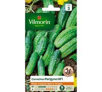 Vilmorin 3461143 Cornichon Vert 9 x 0.5 x 16 cm
