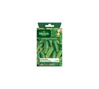 Vilmorin - Sachet graines Cornichon vert petit de paris