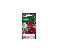 Vilmorin - Sachet graines Cosmos sensation varié