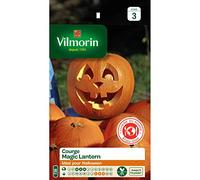 Vilmorin - Sachet graines Courge Magic Lantern