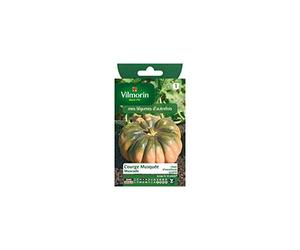 Vilmorin - Sachet graines Courge Musquée Muscade