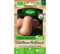 Vilmorin - Sachet graines Courge Musquée Waltham Butternut BIO - Cucurbita pepo