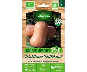 Vilmorin - Sachet graines Courge Musquée Waltham Butternut BIO - Cucurbita pepo