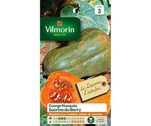 Vilmorin - Sachet graines Courge Sucrine du Berry