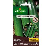 Vilmorin - Sachet graines Courgette Anissa HF1