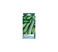 Vilmorin - Sachet graines Courgette non coureuse d'Italie