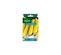 Vilmorin - Sachet graines Courgette Orelia HF1