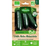 Vilmorin - Sachet graines Courgette verte noire Maraîchère BIO - Cucurbita pepo