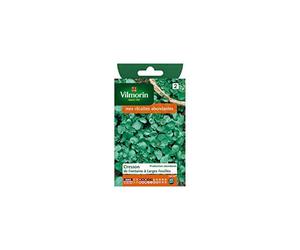 Vilmorin - Sachet graines Cresson de fontaine à larges feuilles