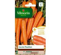 VILMORIN-Graines de carotte touchon Vilmorin orange - graines à semer