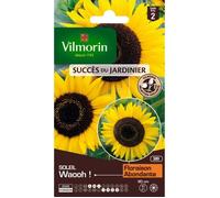 Vilmorin Sachet graines Tournesol Soleil Waooh!