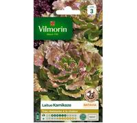 VILMORIN Sachet graines de Laitue Batavia KAMIKAZE Feuilles rouges
