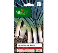 VILMORIN Sachet graines de poireau bleu de Solaise