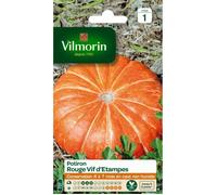 VILMORIN Sachet graines de Potiron vif d'Etampes