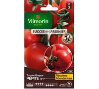 VILMORIN-Graines de Tomate Pépite HF1 Vilmorin - graines à semer
