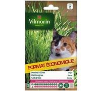 vilmorin sachet graines d'herbe a chat orge G