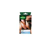 Vilmorin - Sachet graines Echalion Zebrune