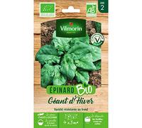 Vilmorin - Sachet graines Epinard Géant d'hiver BIO - Spinacia oleracea