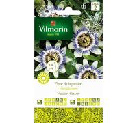 Vilmorin - Sachet graines Fleur de la Passion
