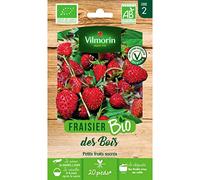Graines - Vilmorin - Fraisier des Bois - BIO