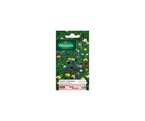 Vilmorin - Sachet graines Gazon Japonais surface 4m²