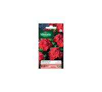 Vilmorin - Sachet graines Géranium éclat rouge HF2