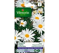 Vilmorin - Sachet graines Grande marguerite Margo