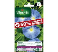 Vilmorin - sachet graines Ipomée Géante bleue +50% Gratuit - Ipomoea tricolor