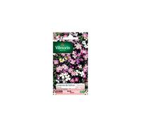 Vilmorin - Sachet graines Julienne de Mahon variée