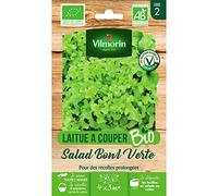 Vilmorin – Graines de laitue Salad Bowl Verte BIO – Récolte 4 saisons, 3 récoltes – Sachet 4 g