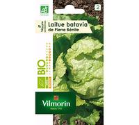 Vilmorin Sachet graines Laitue Batavia de Pierre Benite Bio