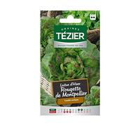 Vilmorin - Sachet graines Laitue d'hiver Rougette de Montpellier