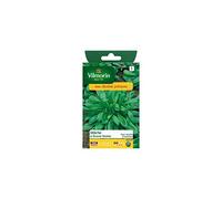 Vilmorin - Sachet graines Mâche à grosse graine