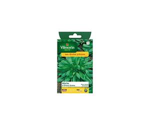 Vilmorin - Sachet graines Mâche à grosse graine