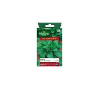 Vilmorin - Sachet graines Mache verte de Cambrai