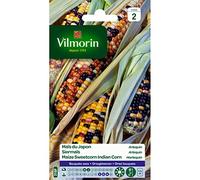 Vilmorin - Sachet graines Maïs du Japon Arlequin