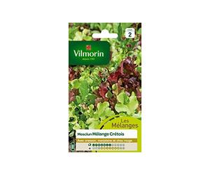 Vilmorin - Sachet graines Mesclun Mélange Crétois