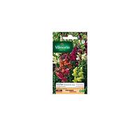 Vilmorin - Sachet graines Muflier Gueule de loup Goupil varié