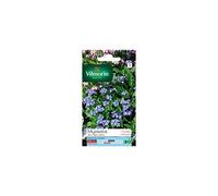 Vilmorin 5380741 Myosotis, Bleu, 90 x 2 x 160 cm