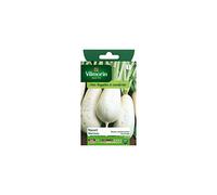 Vilmorin - Sachet graines Navet marteau