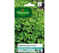 Vilmorin - Sachet graines Origan Marjolane Vivace