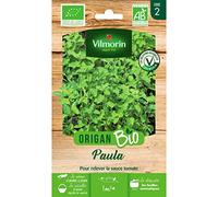 Vilmorin Sachet graines Origan Paula Bio - Origanum vulgare