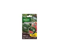 Vilmorin - sachet graines Pastèque mini love HF1 Vilmorin