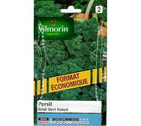 Vilmorin - Sachet graines Persil frisé vert foncé format économique