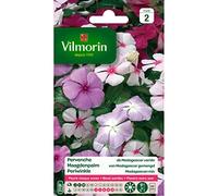 Vilmorin - Sachet graines Pervenche de Madagascar variée