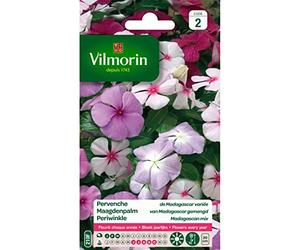 Vilmorin - Sachet graines Pervenche de Madagascar variée
