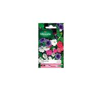 Vilmorin - Sachet graines Pétunia varié