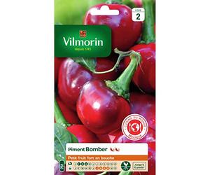 Vilmorin - Sachet graines Piment Bomber