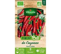 Piment de Cayenne - BIO