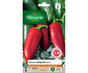 Vilmorin - Sachet graines piment Jalapeño